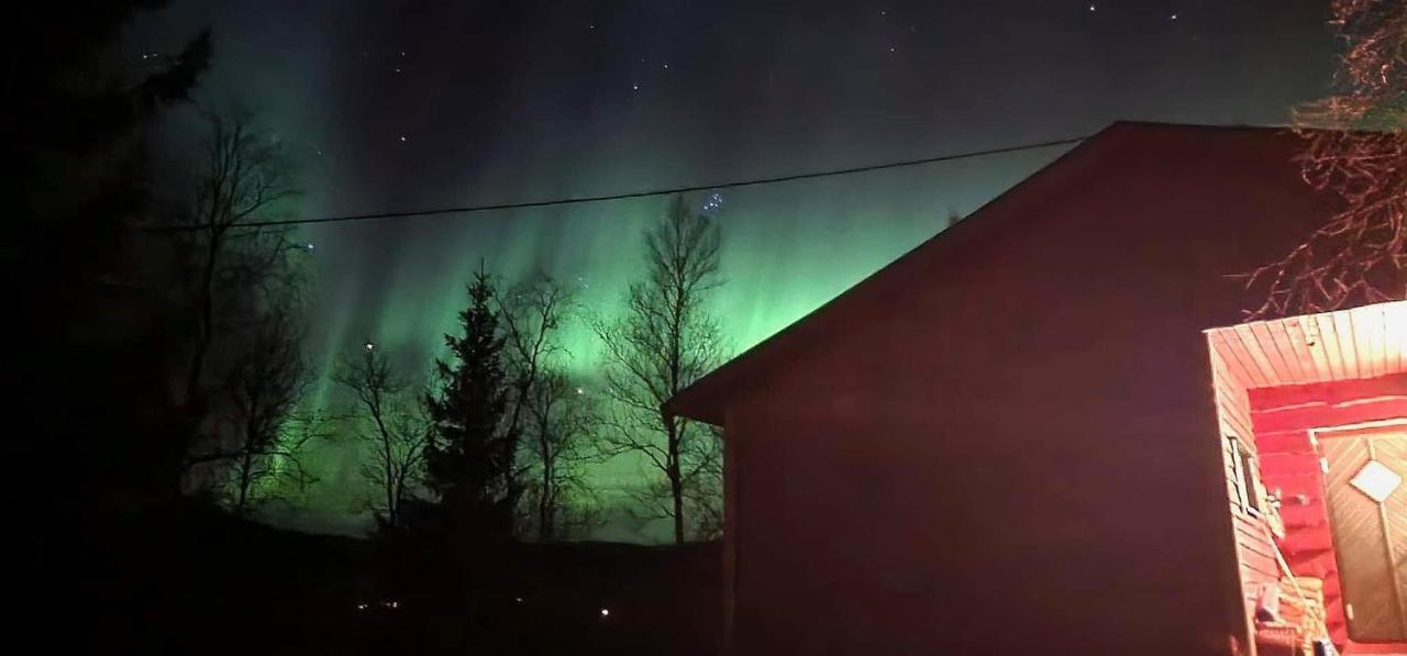 Cosy Cabin In North-Norway, Nearby Senja. Sorreisa エクステリア 写真