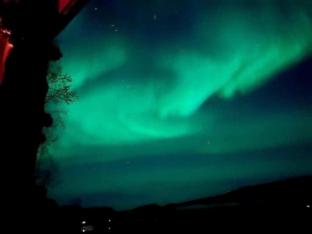 Cosy Cabin In North-Norway, Nearby Senja. Sorreisa エクステリア 写真