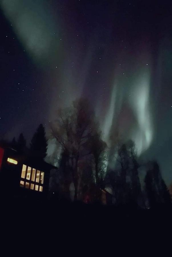Cosy Cabin In North-Norway, Nearby Senja. Sorreisa エクステリア 写真